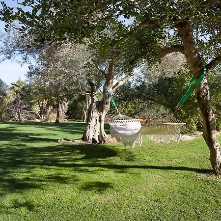 The White Lotus Ibiza Villa Santa Gertrudis (Ibiza)