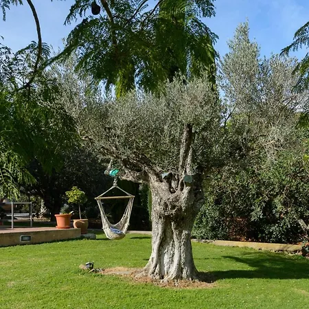 The White Lotus Ibiza Villa Santa Gertrudis (Ibiza)